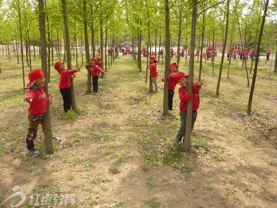 红缨幼儿园春游活动