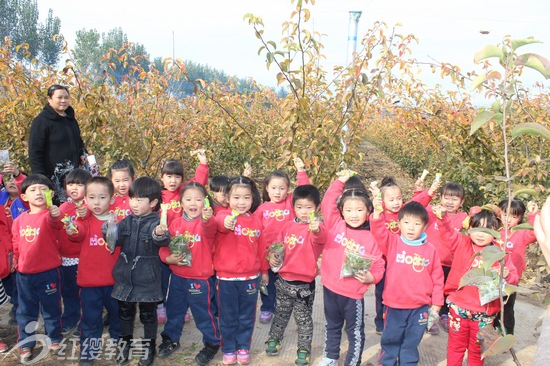 河南焦作红缨博爱名苑幼儿园举办亲子采摘趣味活动