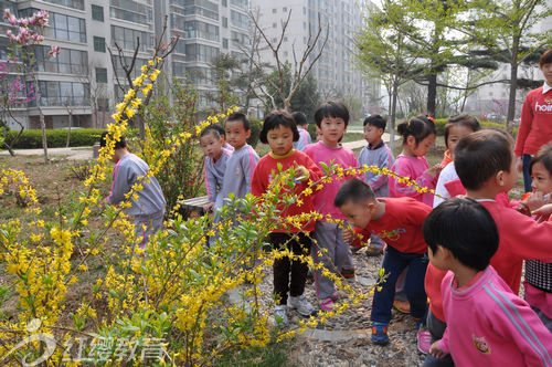 北京红缨直营山东烟台红缨幼儿园