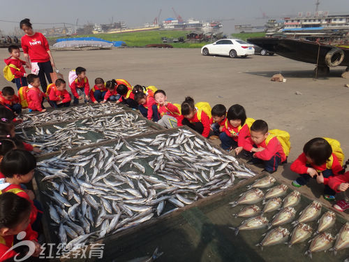 北京红缨直营湖南岳阳红缨幼儿园