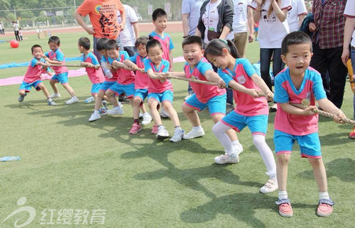 北京红缨连锁幼儿园河北廊坊固安小神龙幼儿园