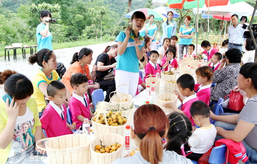 陕西安康红缨高新幼儿园组织“初夏采摘”活动