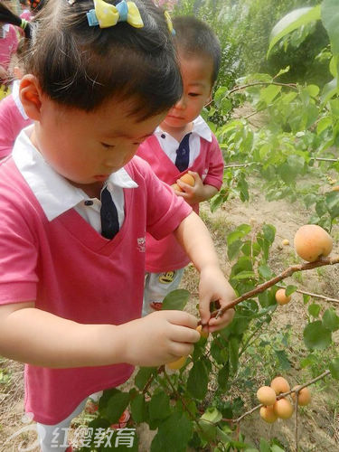 山东潍坊北京红缨连锁朝霞幼儿园