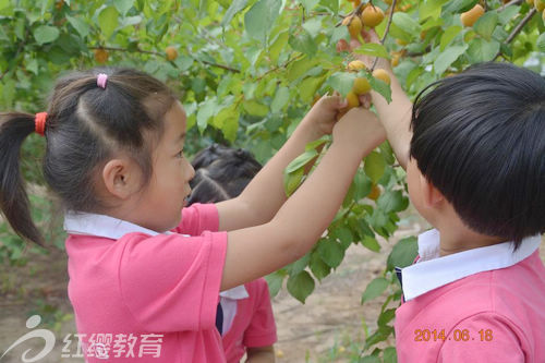 山东潍坊北京红缨加盟园朝霞幼儿园